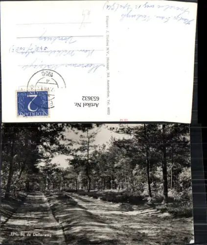 653632,Foto Ak Epe Bij de Dellerweg Waldweg Bäume Nederlands
