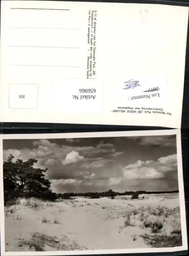 656966,Het Nationale Park De Hoge Veluwe Zandverstuiving met vliegdennen Nederlands