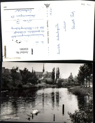 656981,Goes Oostvest Schwan Schwäne Haarlem Nederlands