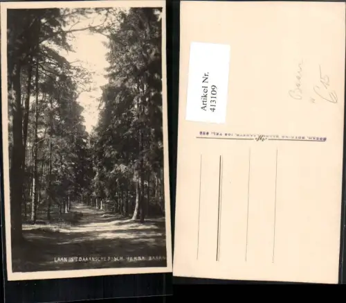 413109,Netherlands Baarn Laan in't Baarnsche Bosch Wald Weg