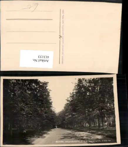413153,Netherlands Baarn Hilversumsche Straatweg Wald Straße