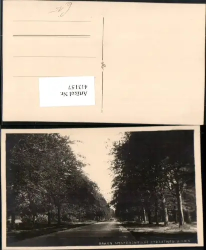 413157,Netherlands Baarn Amsterdamsche Straatweg Straße Wald