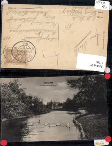 81509,Haarlem haarlemmerhoutpark Schwäne am See