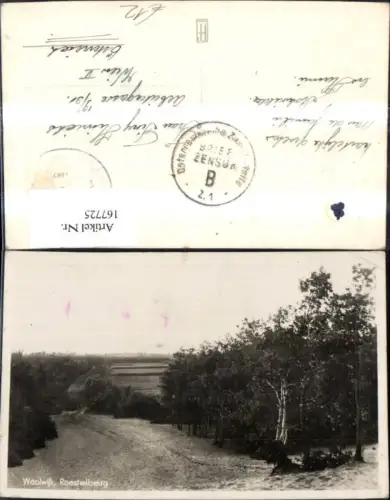 167725,Waalwijk Roestelberg Wegansicht