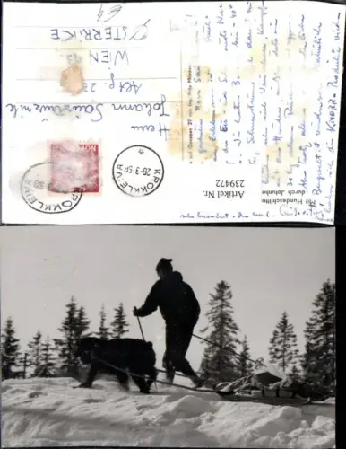 239472,Mit Hundeschlitten und auf Schiern durch Jotunheim Winterbild