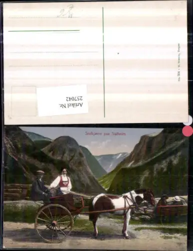 257042,Stolkjaerre paa Stahlheim Pferdekutsche Kutsche Bergkulisse
