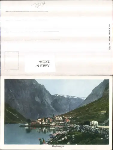 257056,Gudvangen Teilansicht Bergkulisse