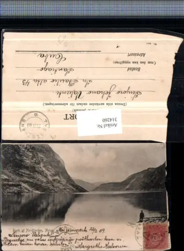 314260,Norge Norwegen Parti af Nordfjorden Fjord