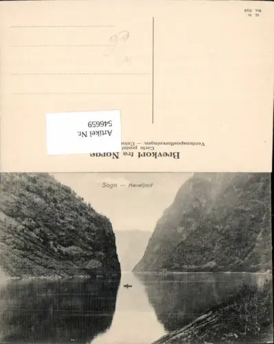 546659,Norway Sogn Naerofjord Gudvangen Naeroyfjord
