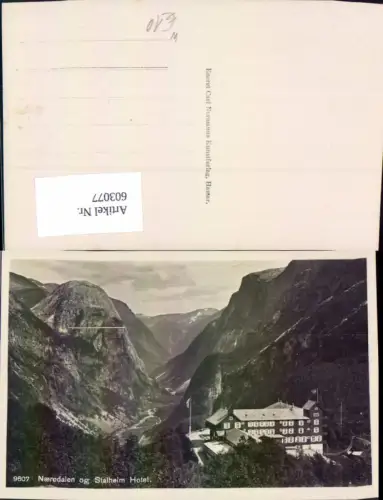 603077,Foto Ak Naerodalen og Stalheim Hotel Norway