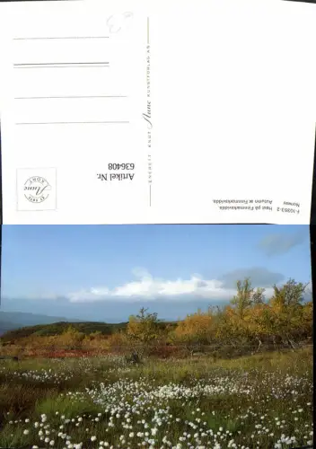 636408,Host pa Finnmarksvidda Autumn at Finnmarksvidda Norway