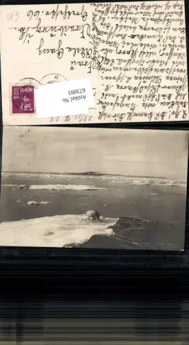 673993,Foto-AK Norway Digermulen Eisbär Bär Eis Meer Nordland Vagan