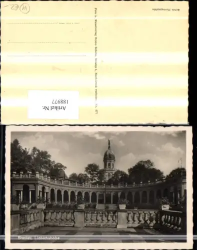 188977,Polen Breslau Liebichshöhe Foto Ak