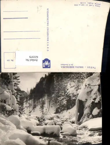 621979,Tatry Dolina Koscieliska Kościelisko Poland