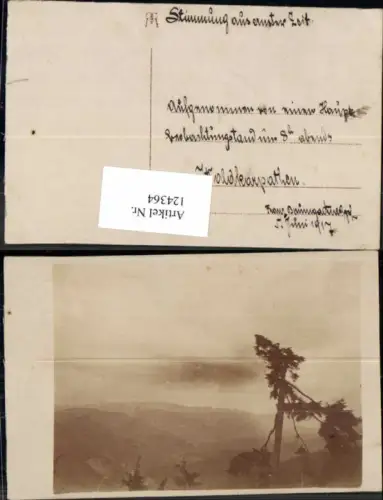 124364,Karpathen Karpaten in Polen 1917