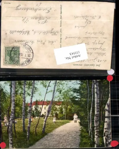 133543,Bad Oppelsdorf Albertpark 1915
