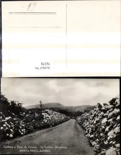 76378,Horta Fayal azores Insel Faial Caldeira e Parte da Estrada In Caldeira Mountains