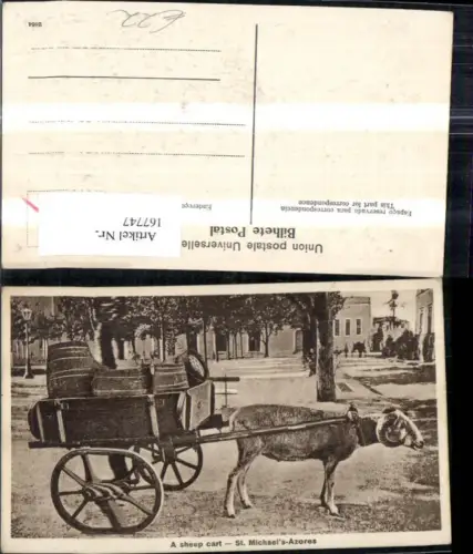 167747,A sheep cart St Michaels Azores Sao Miguel Island Esel Karren