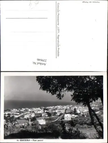 239646,Ericeira Totale