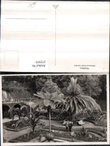 272955,Portugal Madeira b. Lissabon Belmonte Hotel Garden Garten Palmen