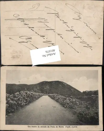 401076,Portugal Acores Azoren Fayal Um trecho da estrada da Praia do Norte Straße