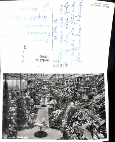 618460,Lisbao Lissabon Estufa Fria Palmenhaus Palmen Portugal