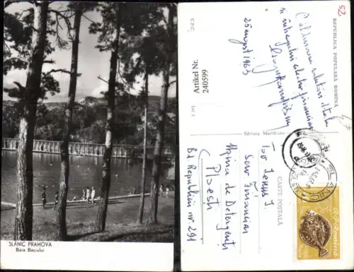 240599,Slanic Prahova Baia Baciului Partie