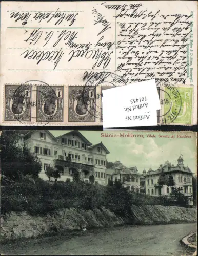 701455 Slanic-Moldova Vilele Scurtu Pandrea Moldau Bacau Romania vintage Postcard