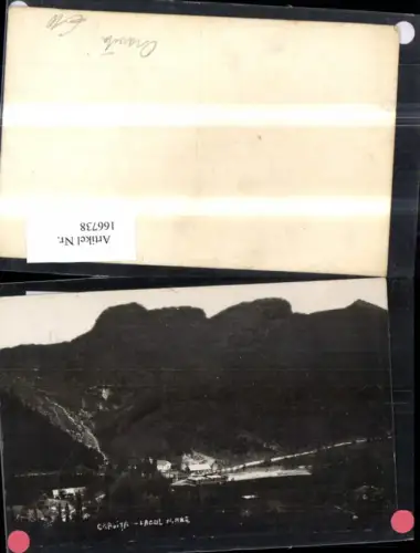 166738,Caruita Lacul mare Oravita