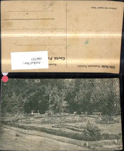 166757,Baile Buzias Promenade Parcului Park Blumenbeet