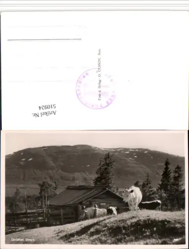 510924,Sweden Ottsjö Ottfjället Hütte Rinder Bergkulisse