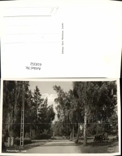 618352,Foto Ak Pampusvägen Lindö Birken Bäume Allee Automobil Sweden