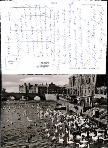 618366,Foto Ak Stockholm Fagelliv pa Strömmen Schwäne Enten Brücke Sweden