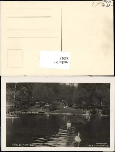 82042,Oslo St Hanshaugen Schwan Schwäne