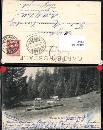 99040,Paturage du Jura Kühe Tränke Kuh Vieh Brief Expedition