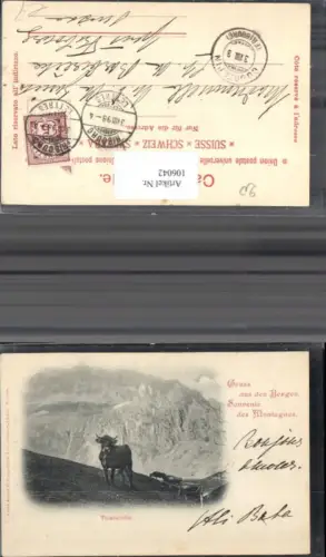 106042,Gruss aus d. Bergen Thierstudie Kuhweide Kuh 1898 Kanton Aargau
