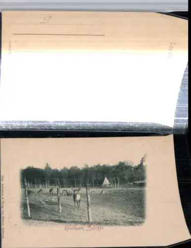 309420,Zofingen Hirschpark Wild Hirsche Kt Aargau