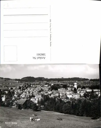 586561,Foto Ak Kurort Heiden Rinder Kühe Switzerland