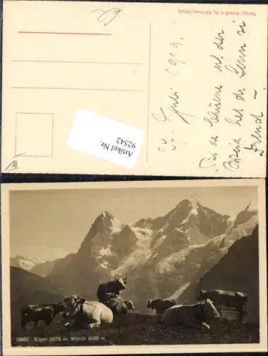 92542,Interlaken Wengen Eiger Mönch Alm Kühe Kuh Kt Bern