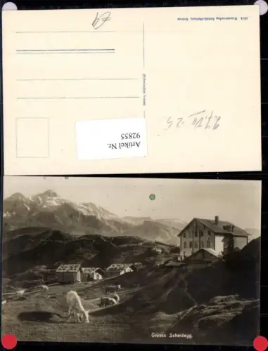 92855,Große Scheidegg Kühe Kuh Alm Grindelwald Kt Bern