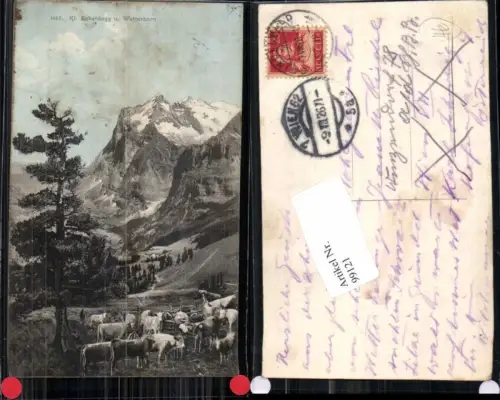 99121,Kleine Scheidegg Wetterhorn Kt Bern Kühe Kuh