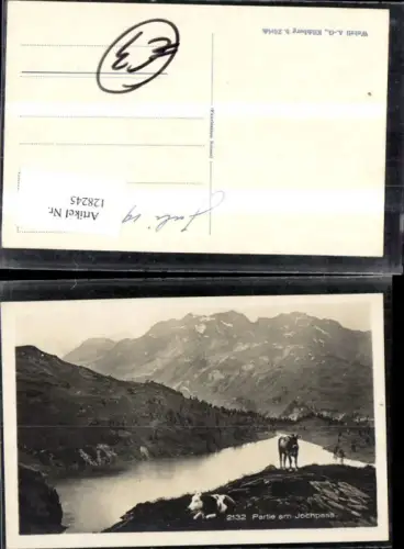 128245,Jochpass Engelbert Engstlenalp Ansicht m. Kühen 1919 Kt. Bern