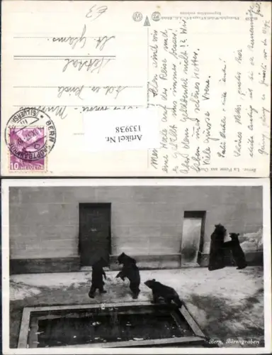 133938,Bern Bärengraben Bären 1937