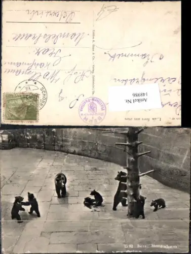 148986,Bern Bären Bärengraben