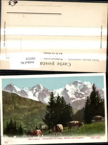 200224,Mürren Mürrenbahn Grütschalp m. Eiger Mönch u. Jungfrau Kühe Kt Bern