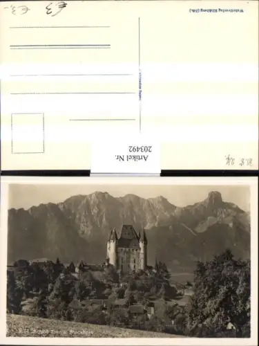 203492,Schloss Thun u. Stockhorn Kt Bern