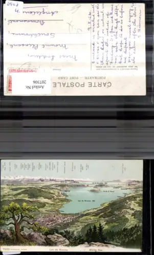 207306,Lac de Bienne Bieler See Lagekarte Gipfelkarte Kt Bern