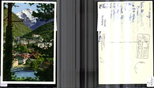 207395,Interlaken m. Jungfrau Ansicht m. Baum i. Vordergrund Kt Bern