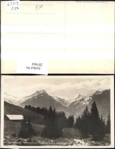 207464,Foto Ak Grindelwald Schreckhorn Finsteraarhorn u. Viescherhörner Kt Bern