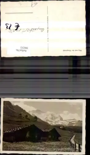 208252,Foto Ak Weg n. Wengeralp Wengen Kleine Scheidegg Kt Bern